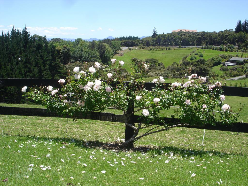 Country Homestead At Black Sheep Farm Waipu Exterior photo